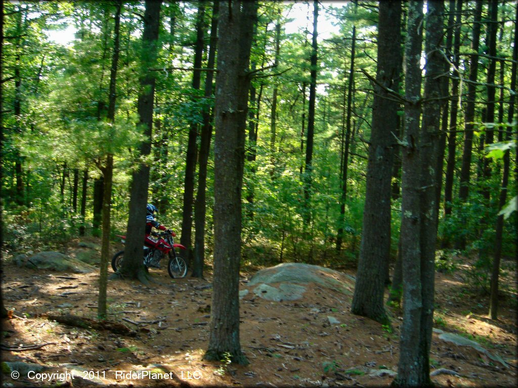 OHV at F. Gilbert Hills State Forest Trail