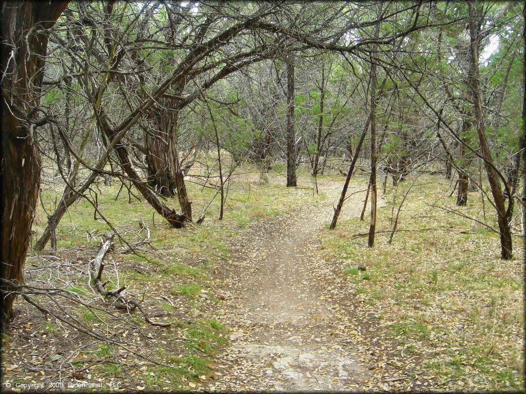 Terrain example at Emma Long Metropolitan Park Trail