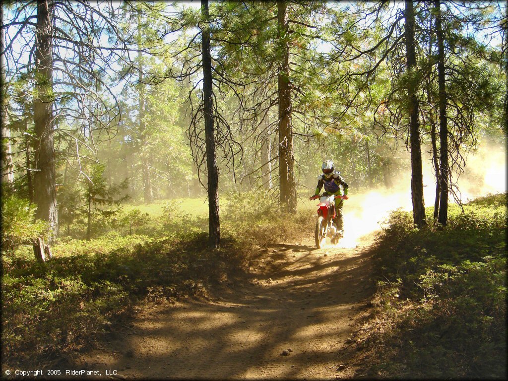 Honda CRF Motorcycle at Elkins Flat OHV Routes Trail