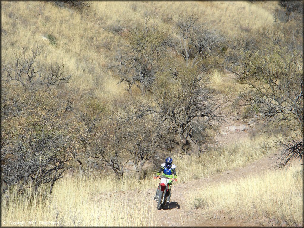 Honda CRF Off-Road Bike at Red Springs Trail