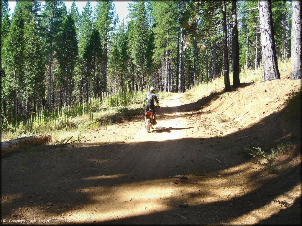 Honda CRF Motorcycle at Elkins Flat OHV Routes Trail