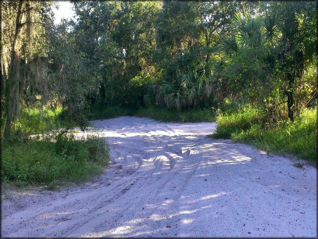 Peace River Campground Trail