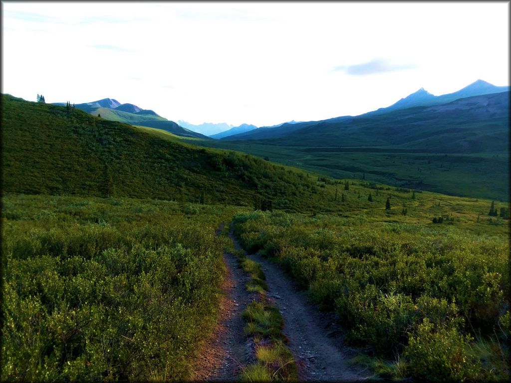 Pinochle Creek Trail