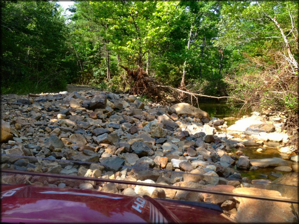 OHV at Fourche Mountain Trail