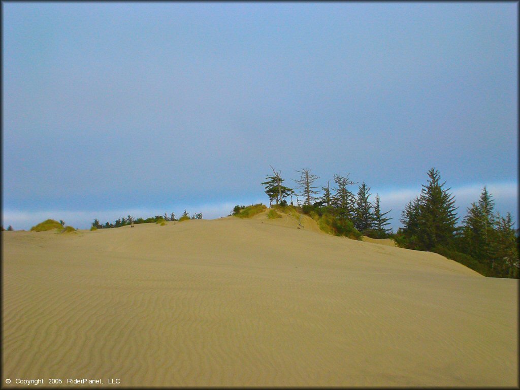 Scenic view of Oregon Dunes NRA - Florence Dune Area