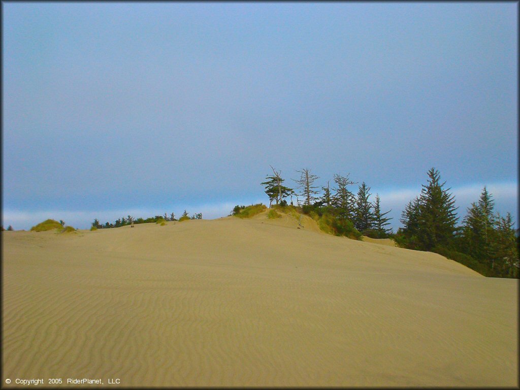 Scenery from Oregon Dunes NRA - Florence Dune Area