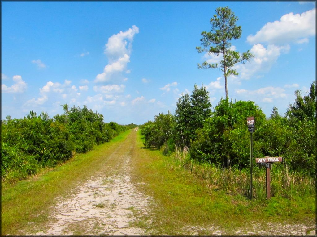 Mallory Swamp ATV Trail