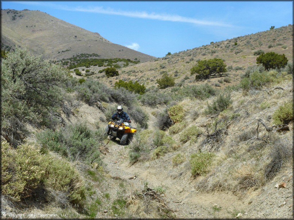 OHV at Blue Mountain Trail