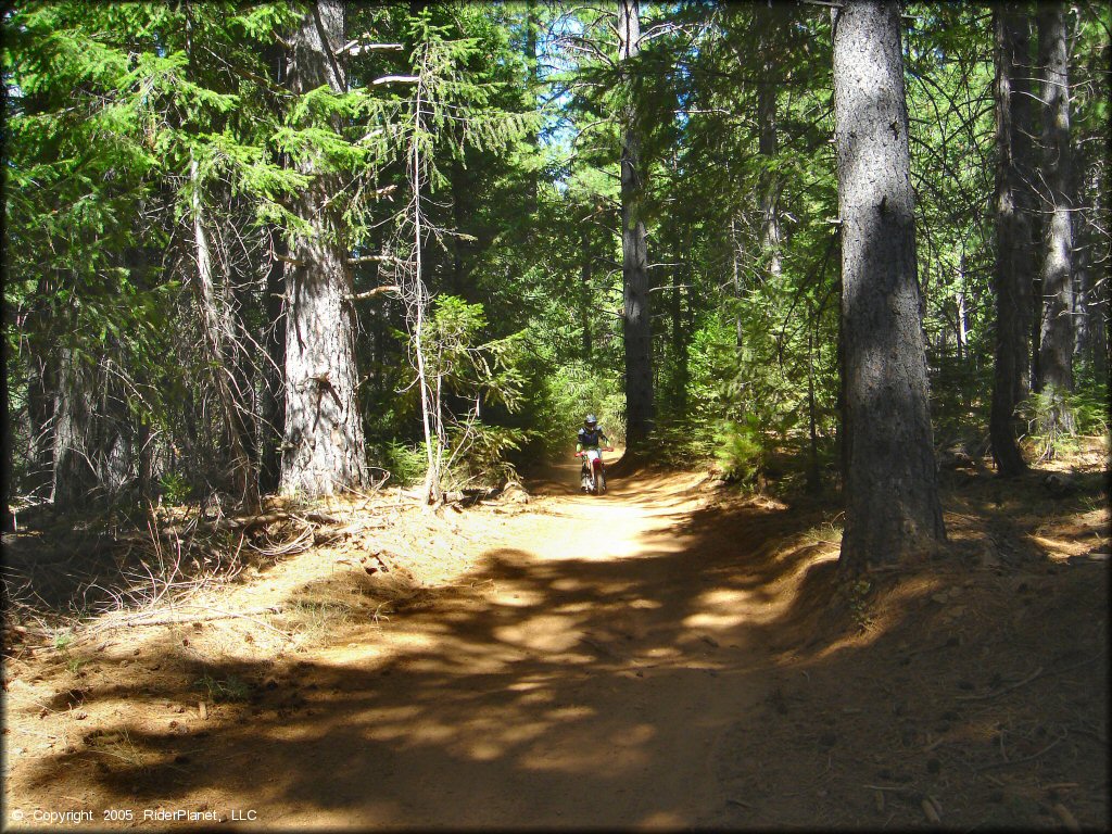 Honda CRF Dirtbike at Elkins Flat OHV Routes Trail