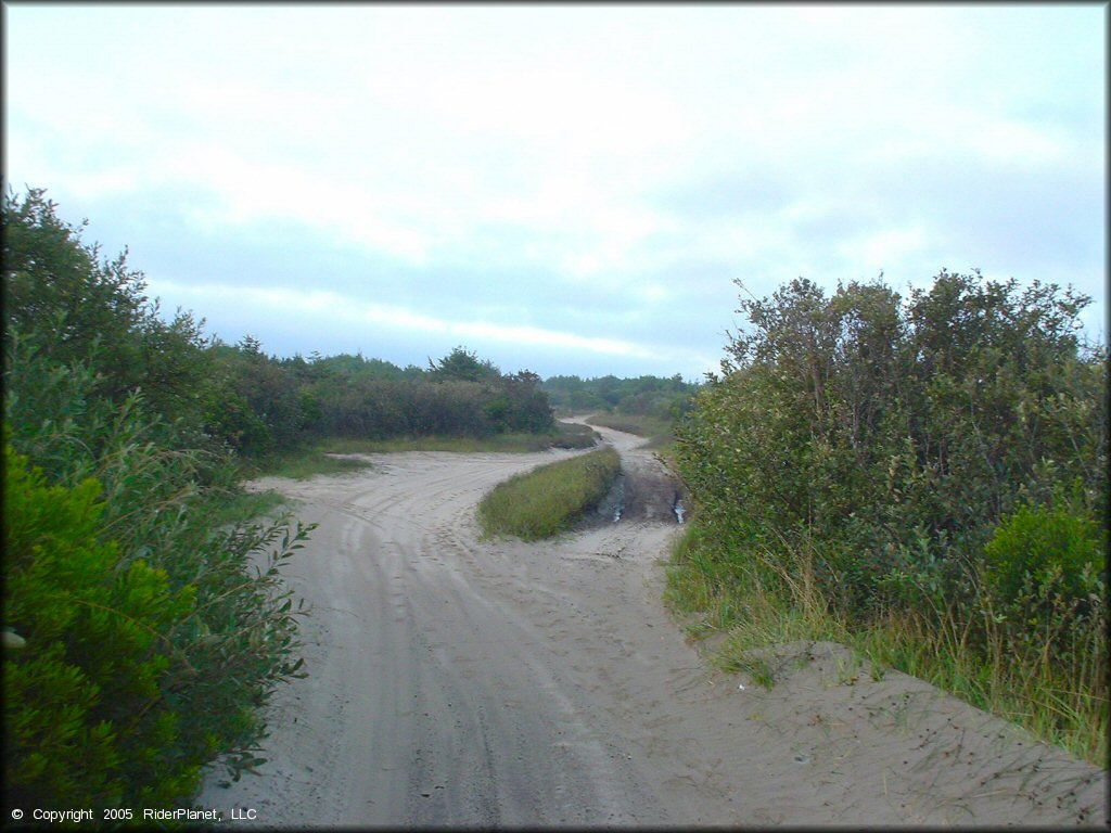 Example of terrain at Oregon Dunes NRA - Florence Dune Area