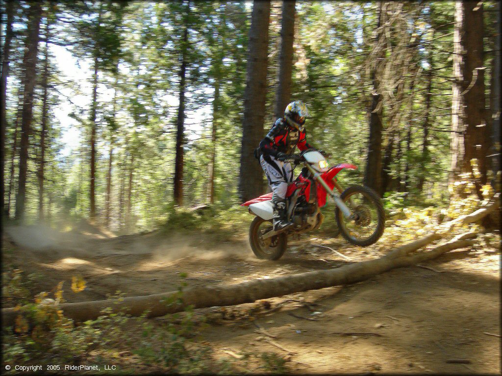 Honda CRF Dirt Bike doing a wheelie at Miami Creek OHV Area Trail