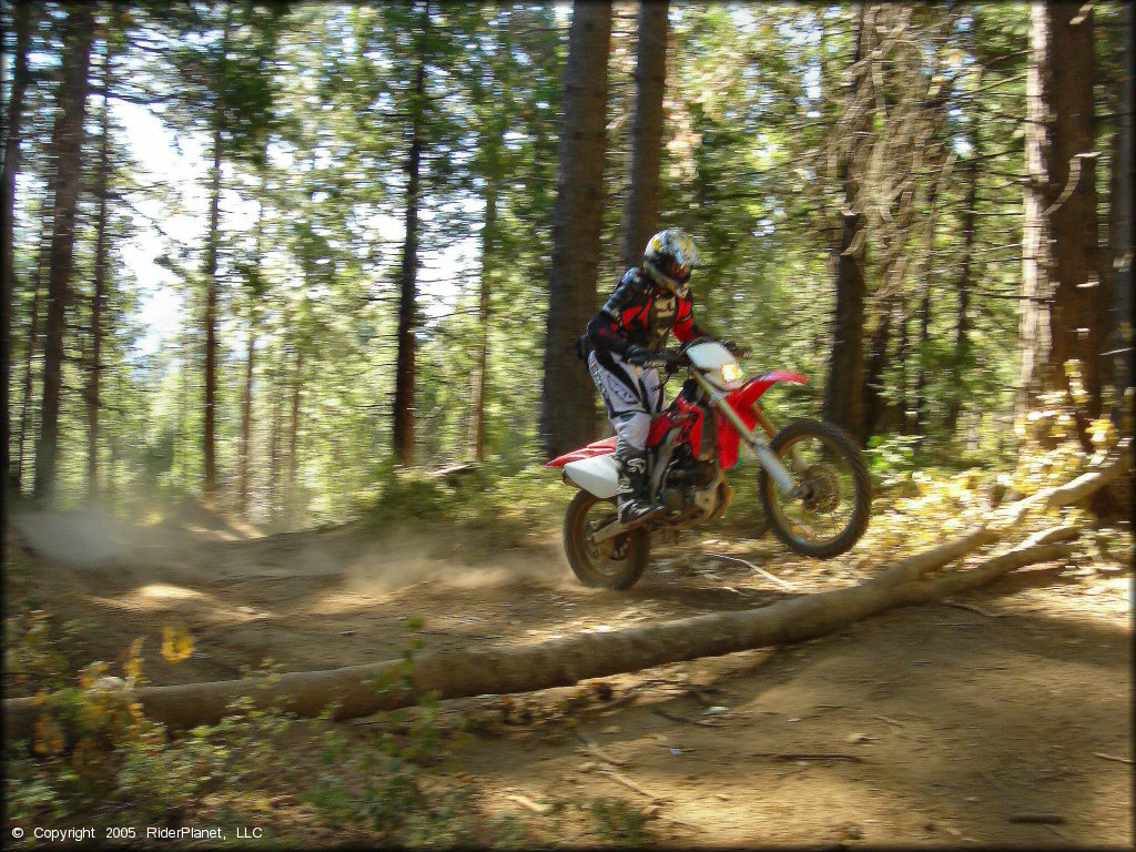 Honda CRF Motorcycle wheelying at Miami Creek OHV Area Trail