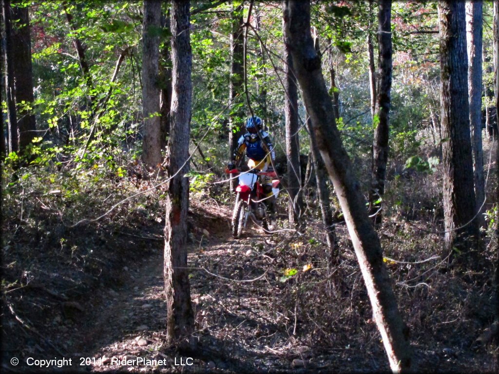 Honda CRF Motorcycle at Hodges Village Dam Trail