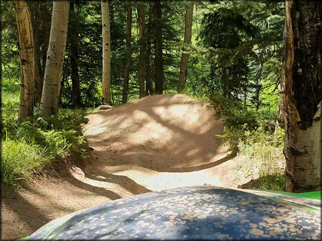 View of ATV trail taken from the trail.