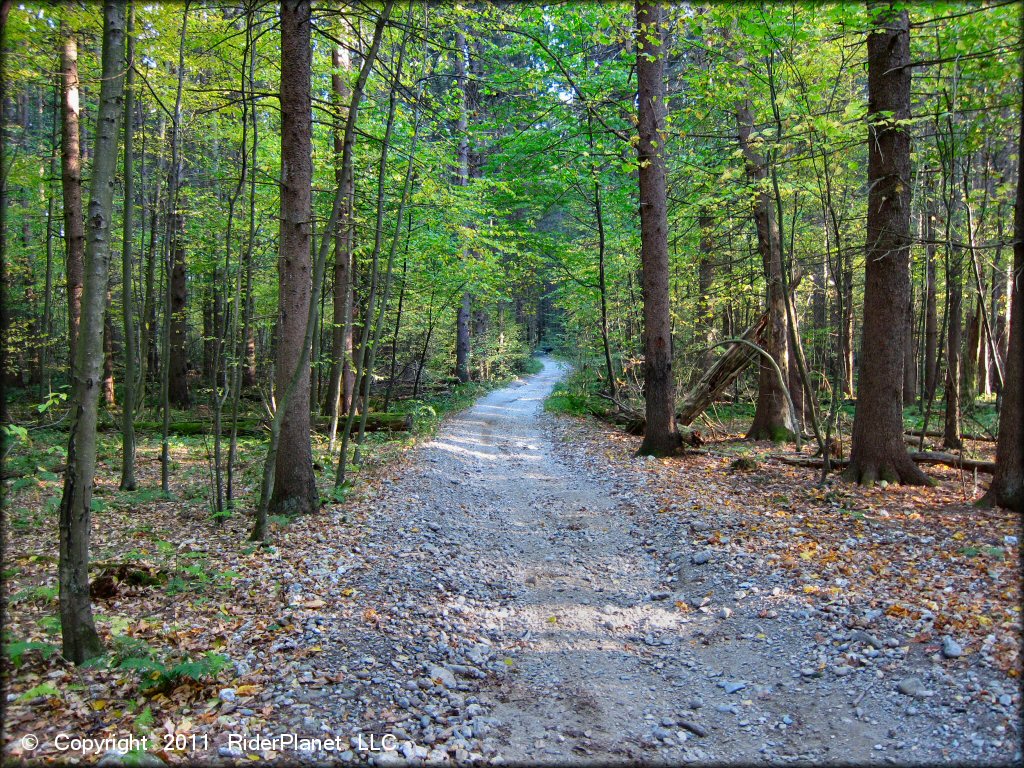 Pittsfield State Forest Trail