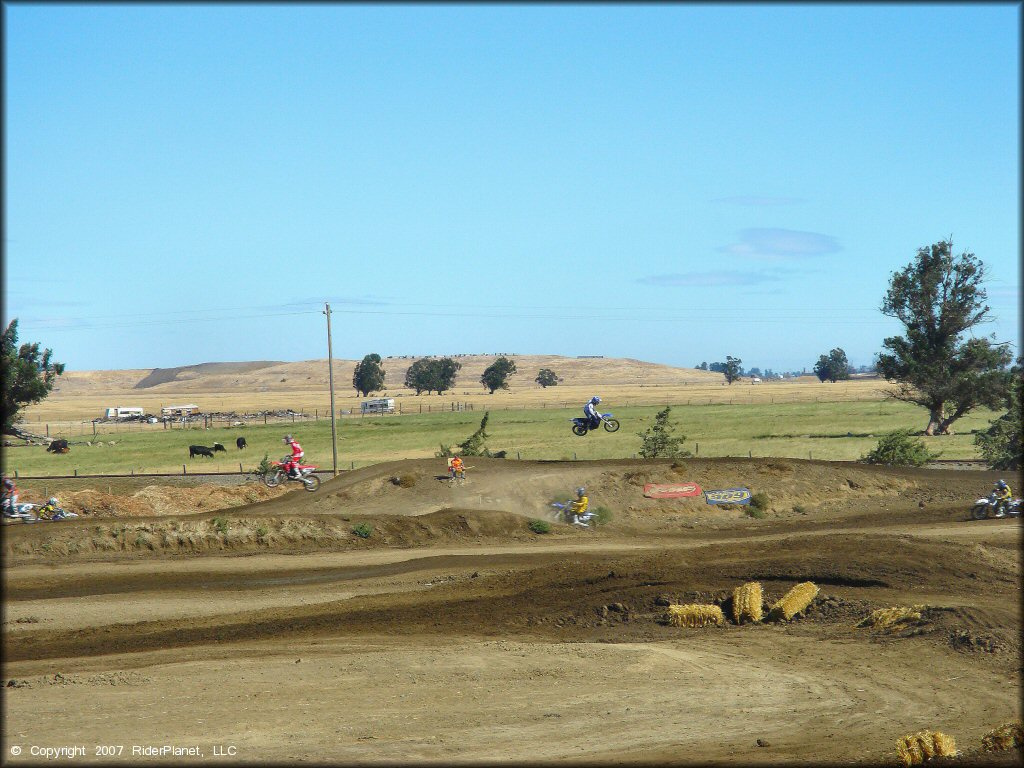 Honda CRF Dirt Bike getting air at Argyll MX Park Track