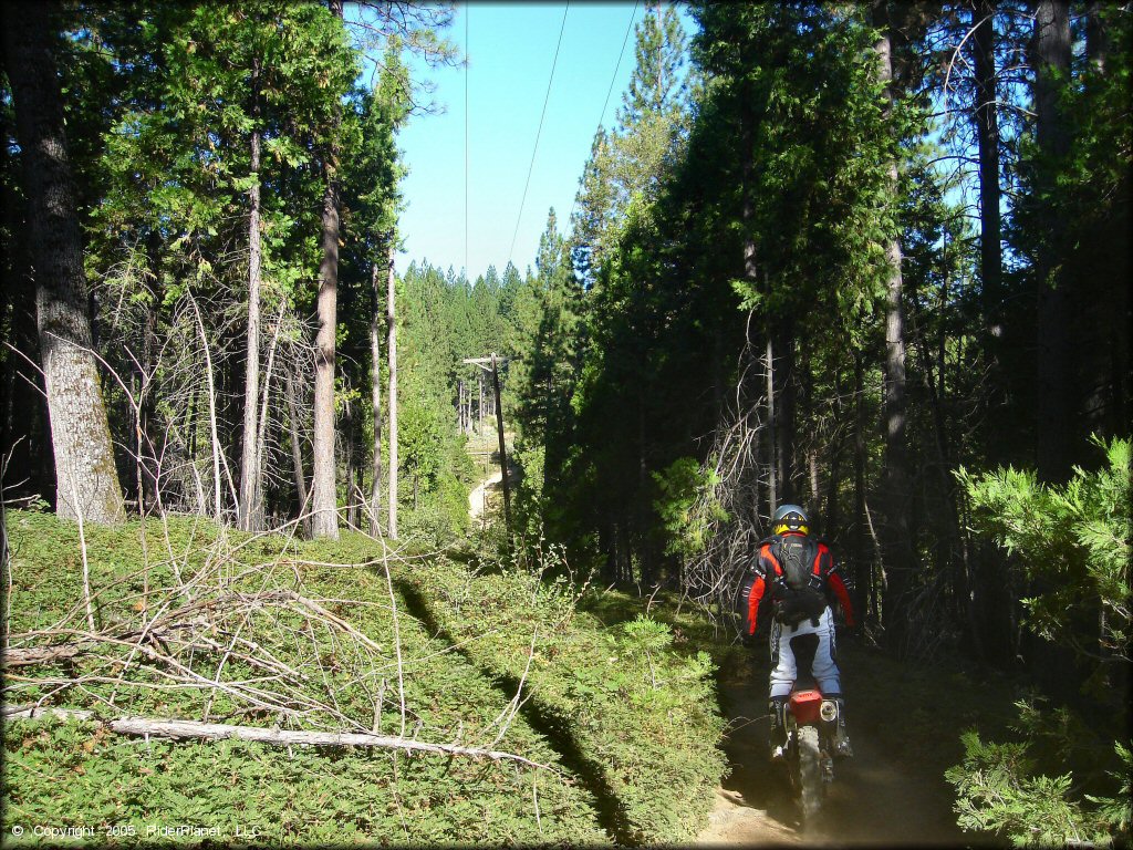 Honda CRF Motorcycle at Miami Creek OHV Area Trail