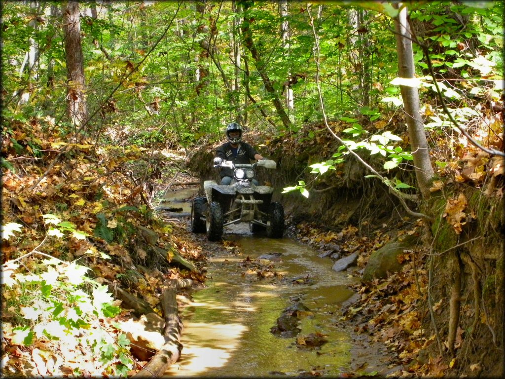 Perry State Forest Trail