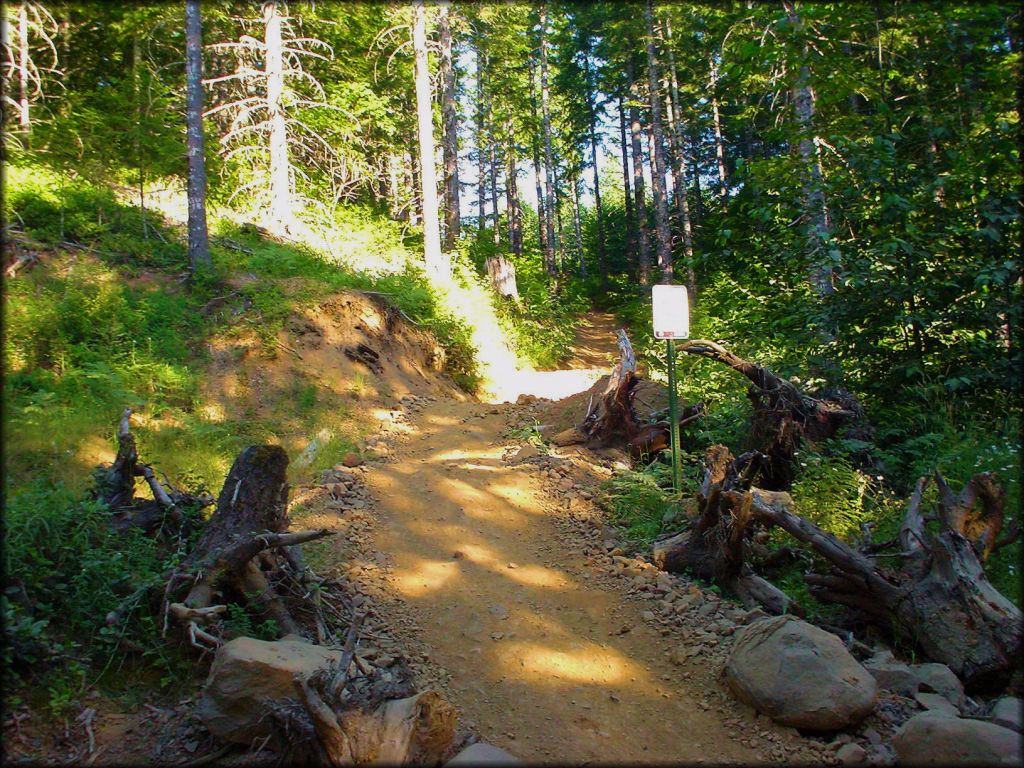 Section of trail marked with signage.