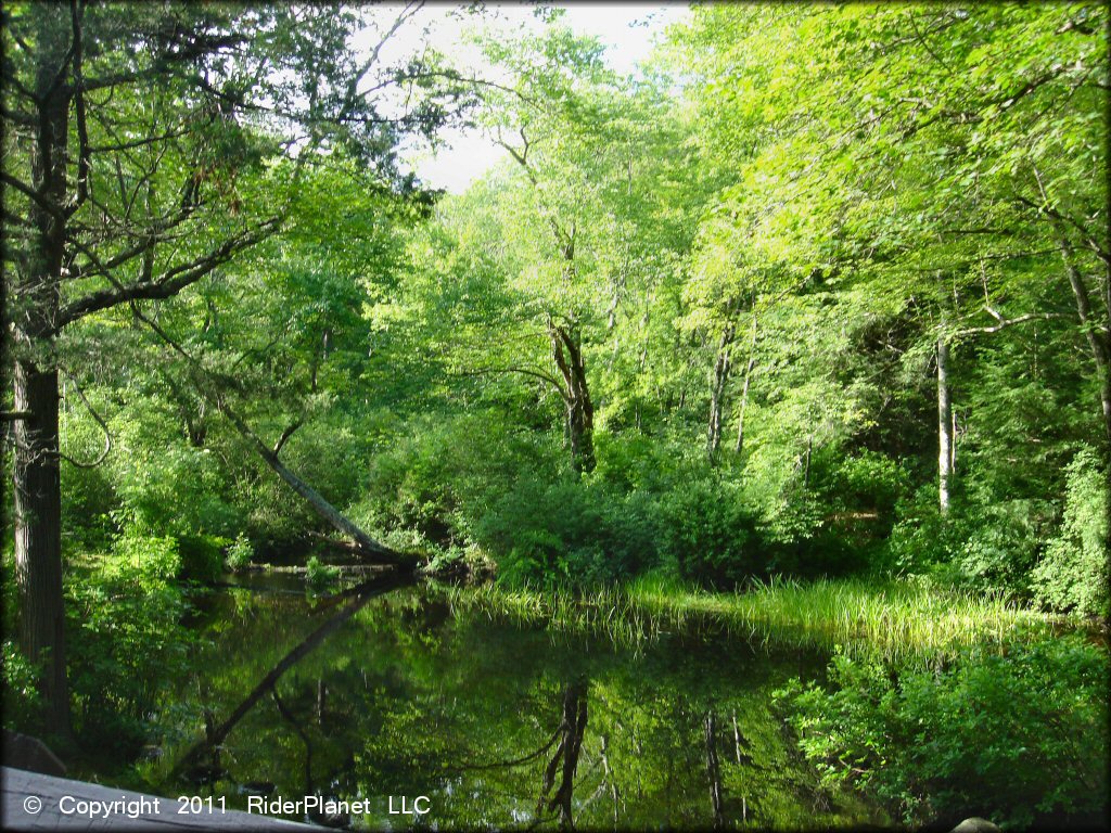 Pachaug State Forest Trail