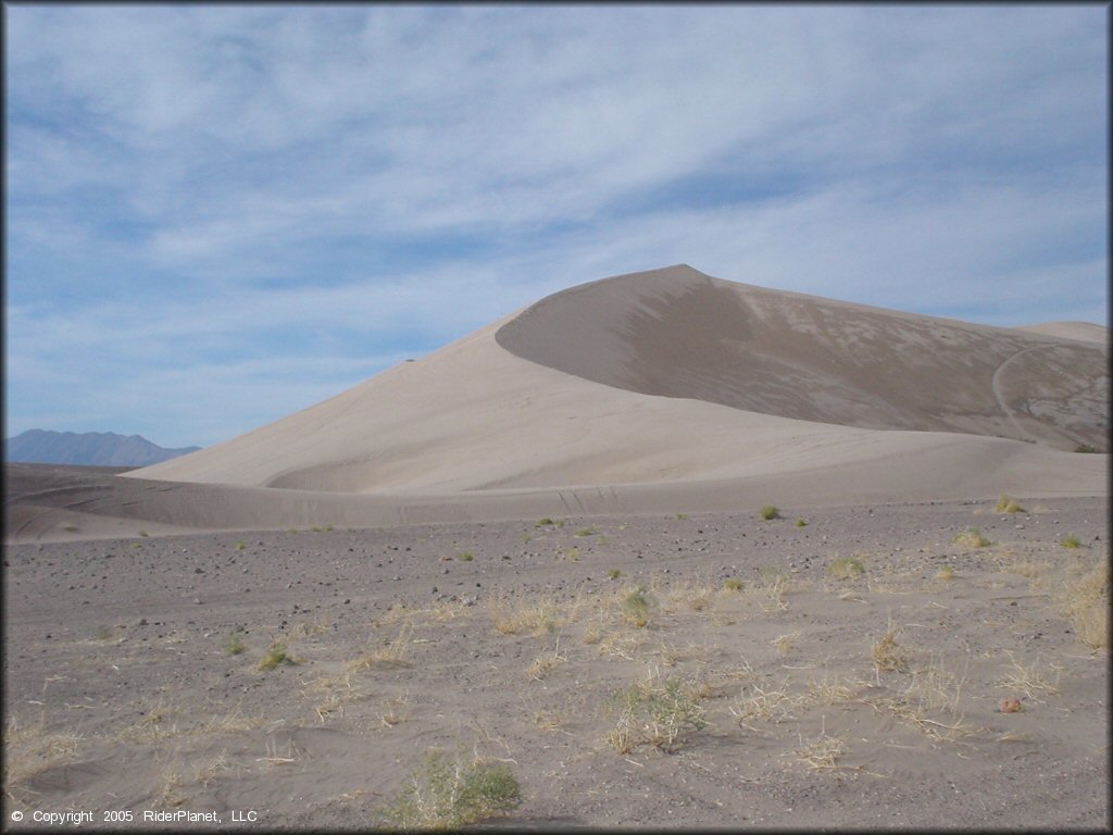 Scenery from Amargosa Dunes Dune Area