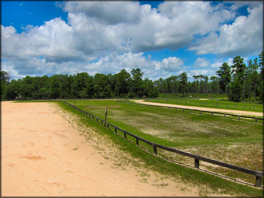 Wandering Wiregrass OHV Trail