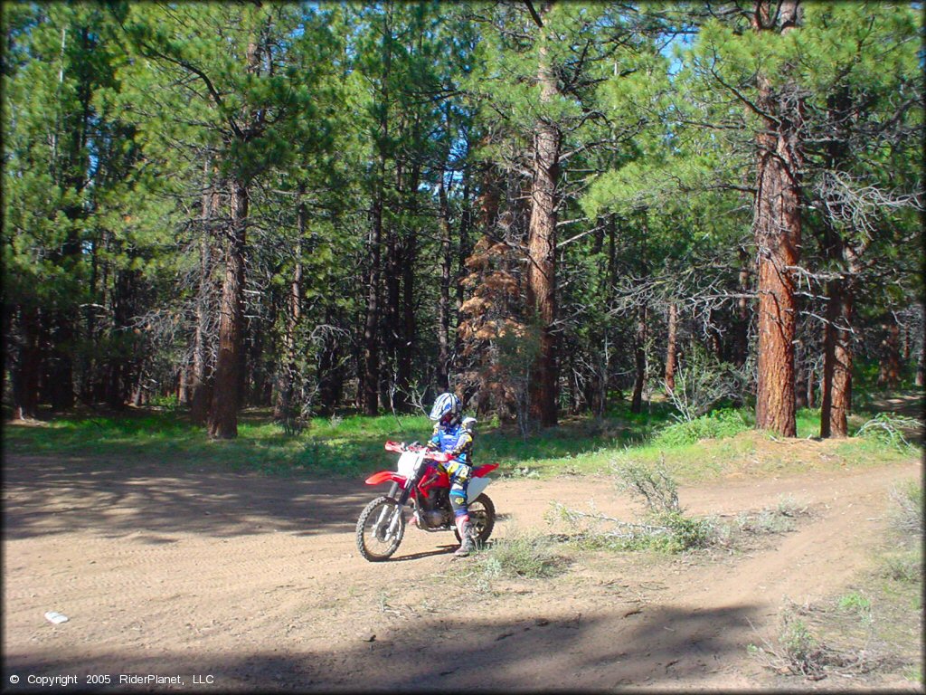 Honda CRF Motorbike at Bull Ranch Creek Trail