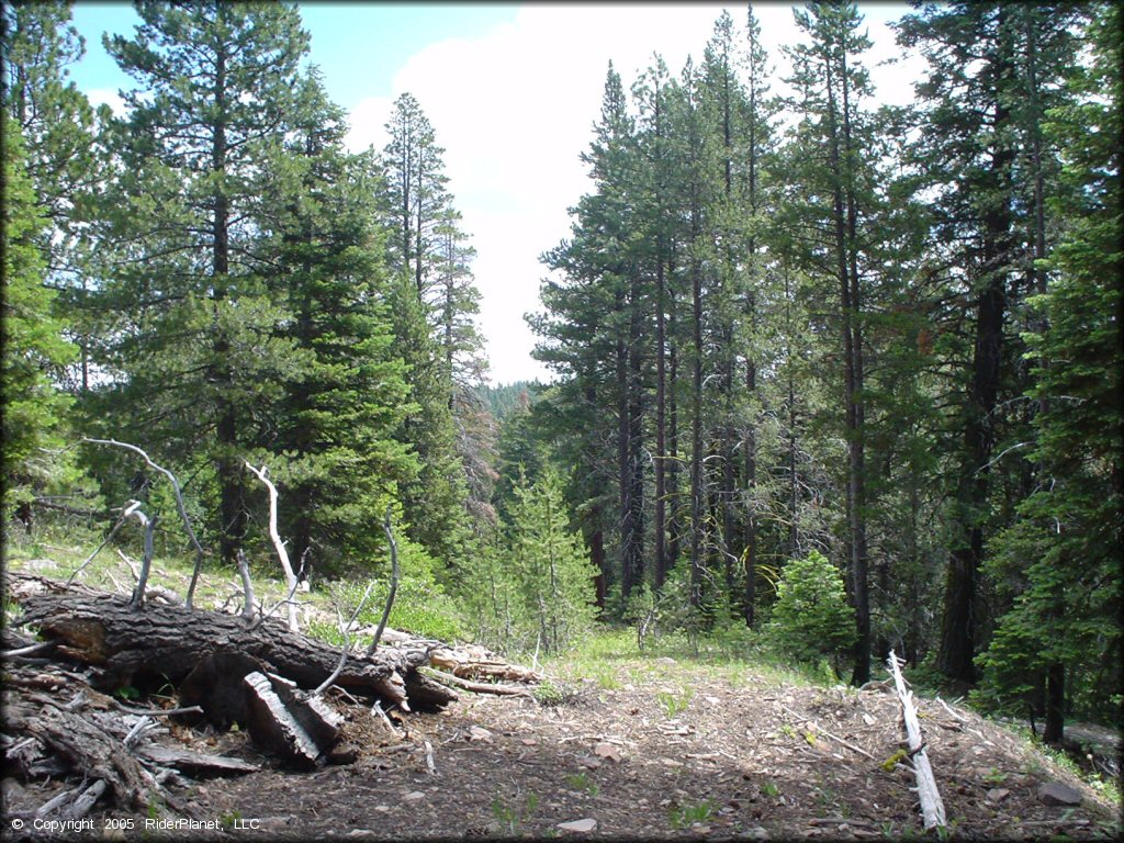 Some terrain at Crane Mountain OHV Trail