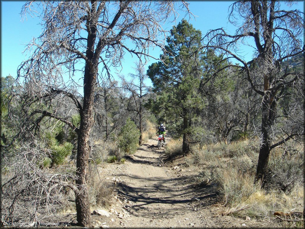 Honda CRF Motorcycle at Big Bear Lake Trail