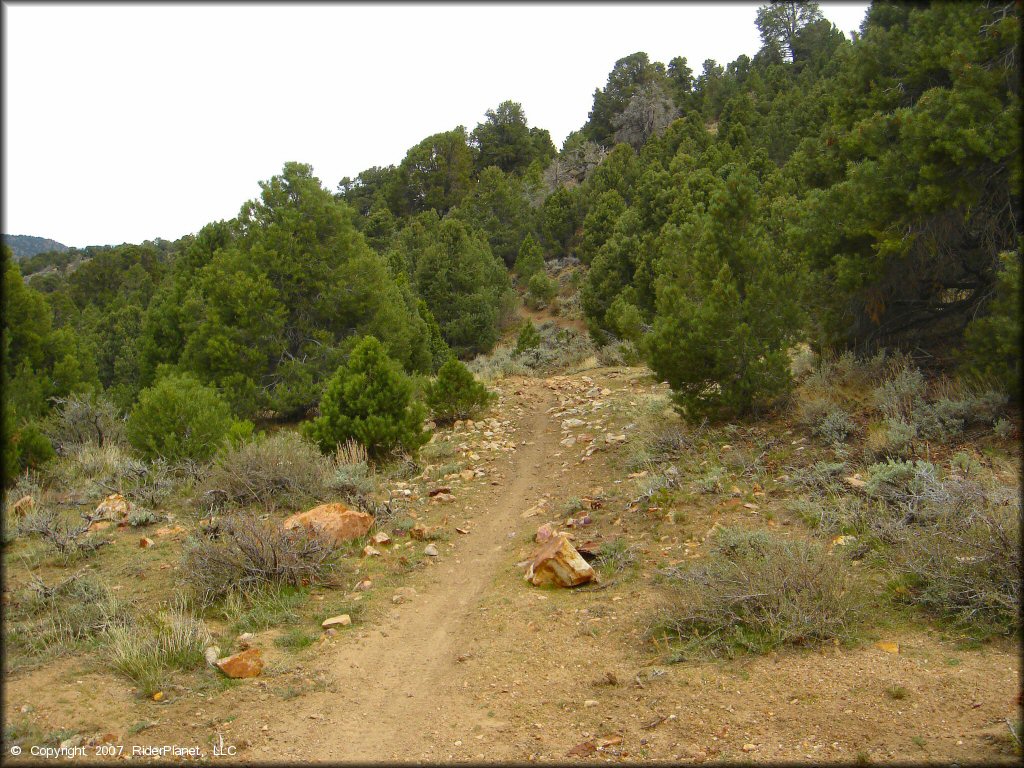 Example of terrain at Sevenmile Canyon Trail