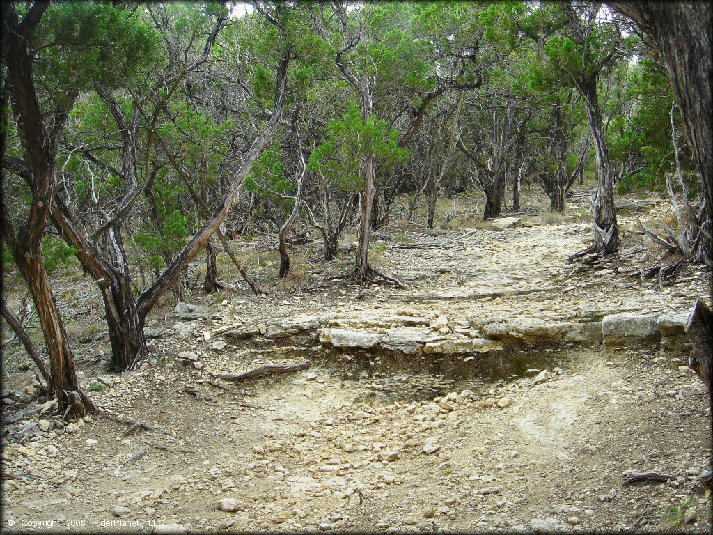 Example of terrain at Emma Long Metropolitan Park Trail