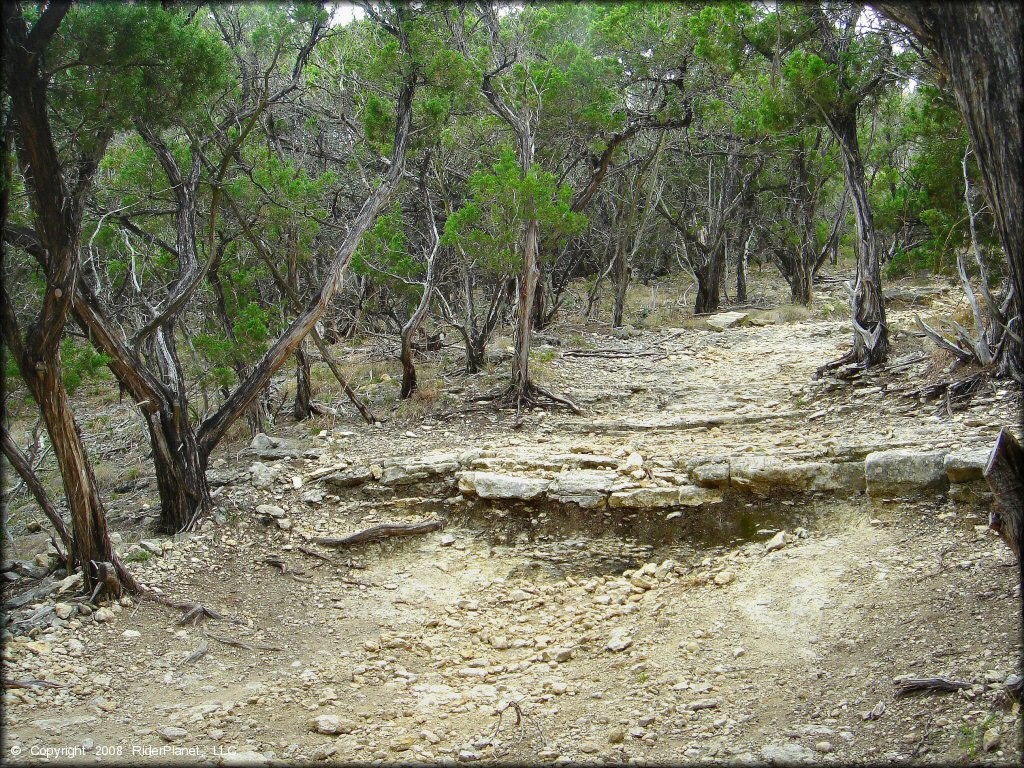 Terrain example at Emma Long Metropolitan Park Trail