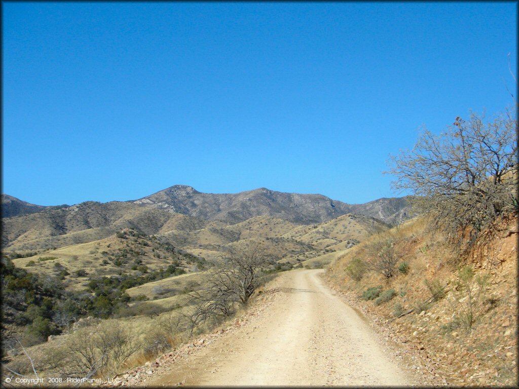 Scenic view at Mt. Lemmon Control Road Trail