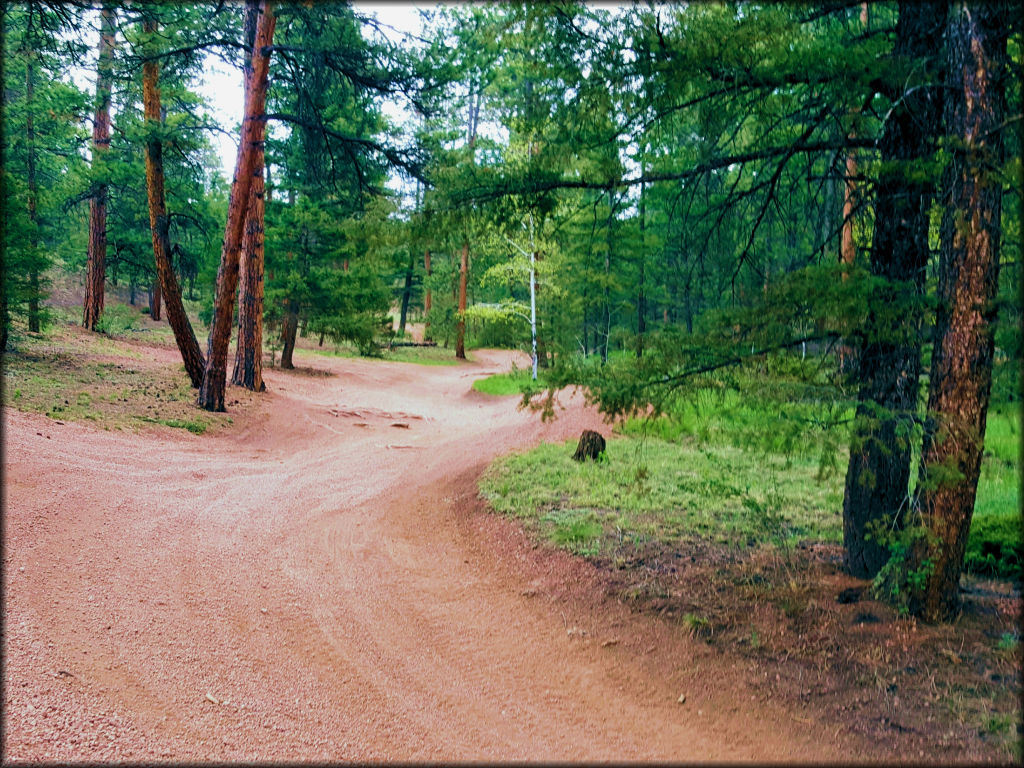 Rainbow Falls Trail