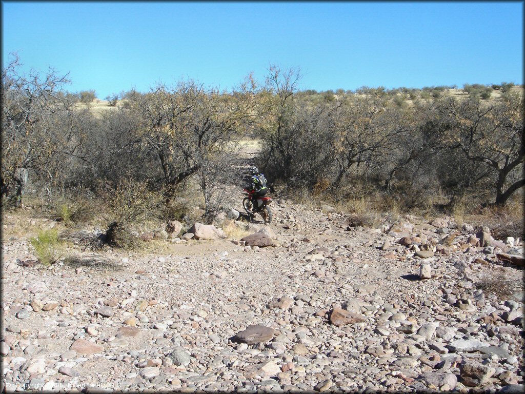 Honda CRF Off-Road Bike at Red Springs Trail