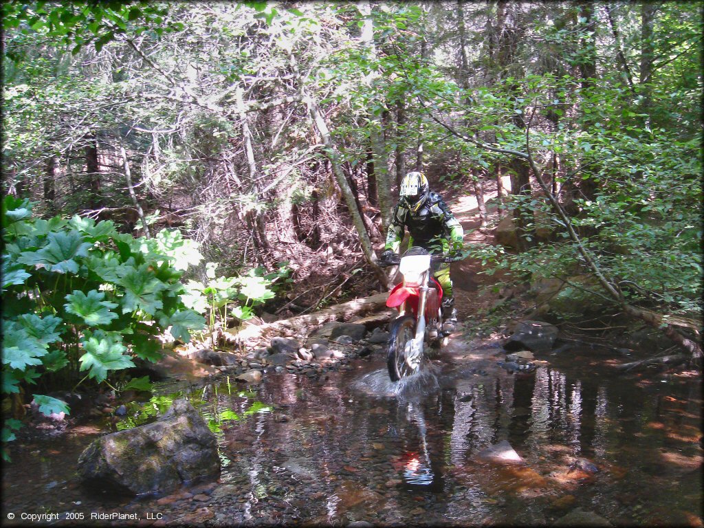 Elkins Flat OHV Routes Trail