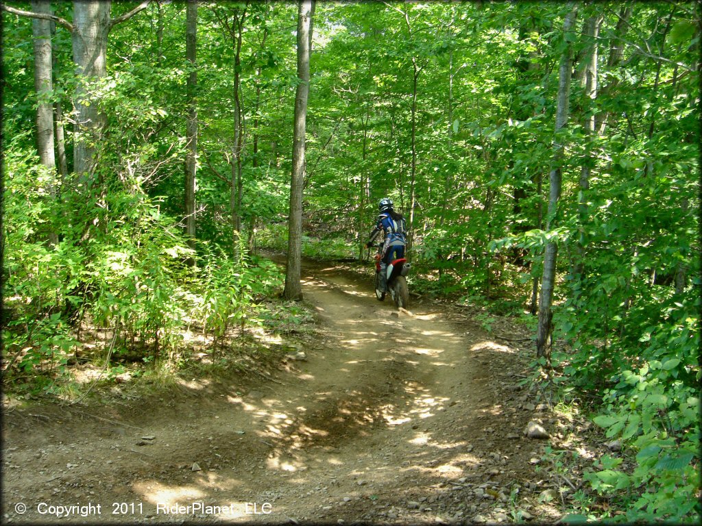 Honda CRF Dirt Bike at Tall Pines ATV Park Trail