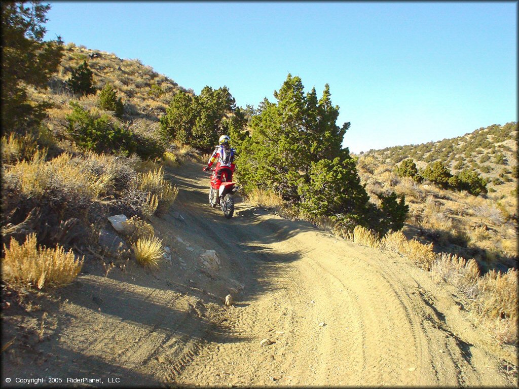 Honda CRF Motorcycle at Stead MX OHV Area