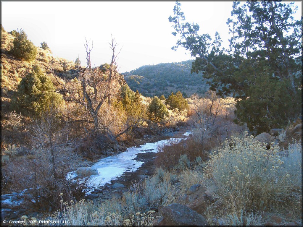 Scenery at Lousetown Road Trail