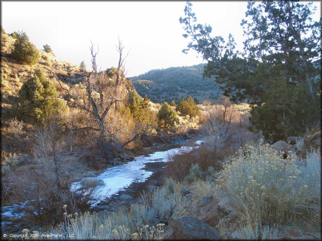 Scenic view at Lousetown Road Trail