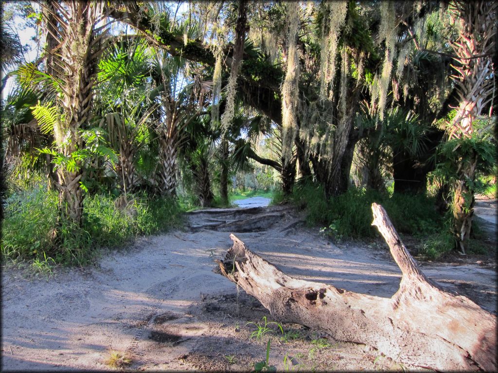 Peace River Campground Trail