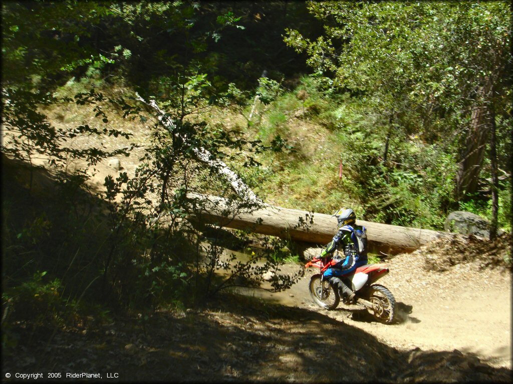 Honda CRF Dirt Bike crossing the water at Miami Creek OHV Area Trail