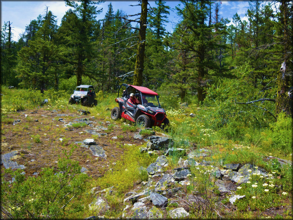 Owl Mountain Trail