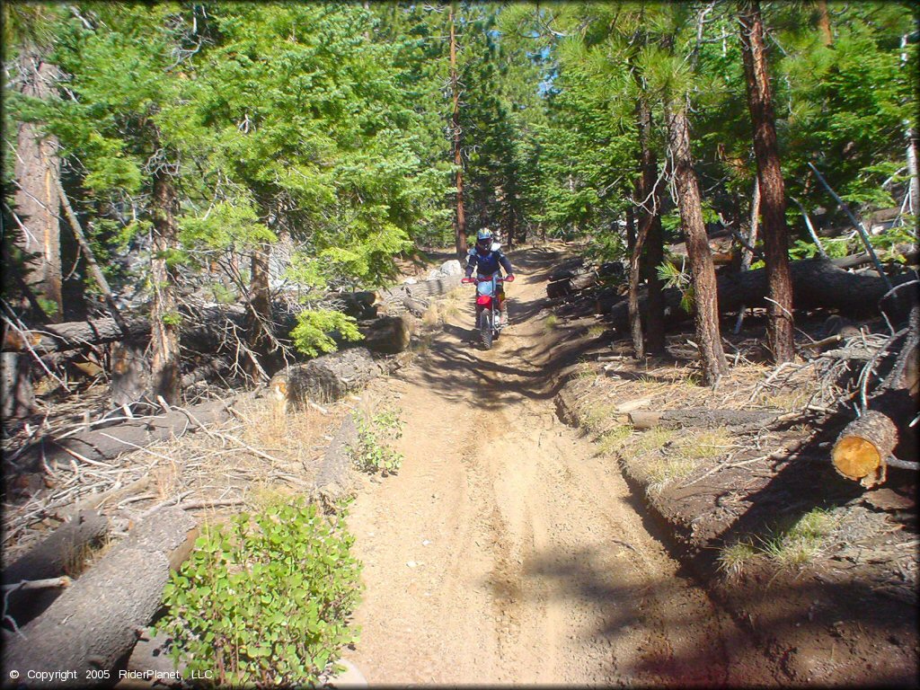 Honda CRF Trail Bike at Genoa Peak Trail