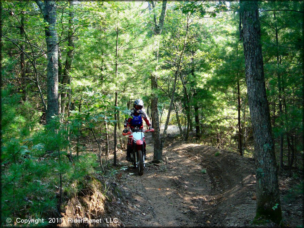 OHV at Freetown-Fall River State Forest Trail