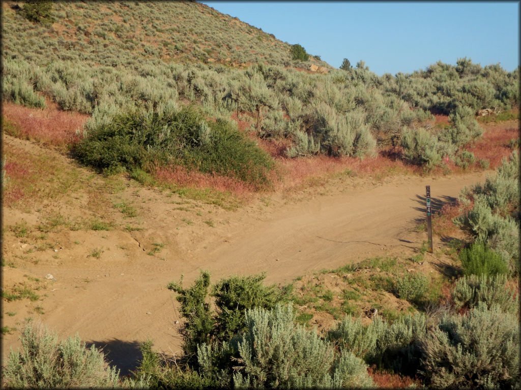 Rice Canyon OHV Area Trail