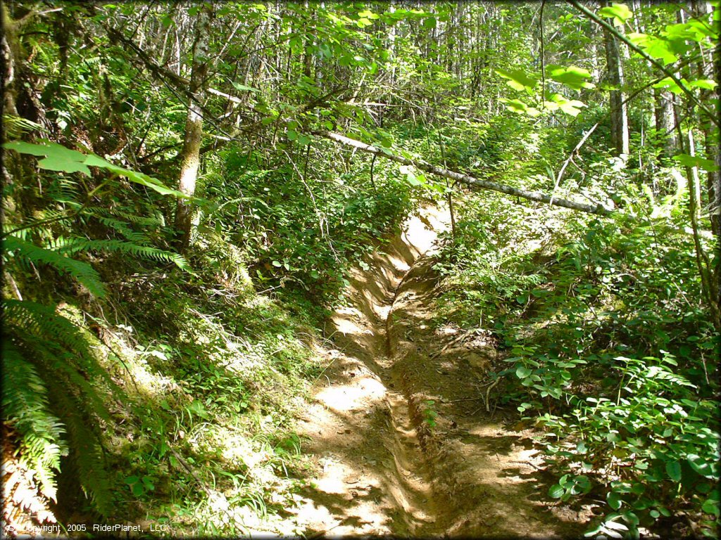 Terrain example at Low Pass Trail