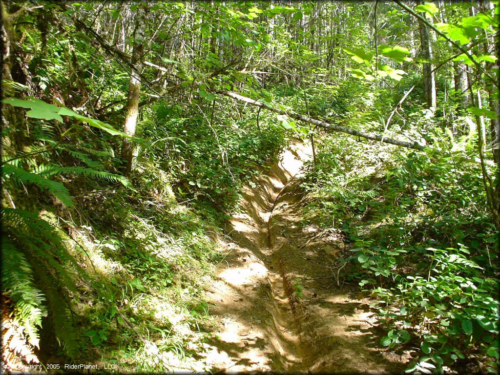 Low Pass Trail