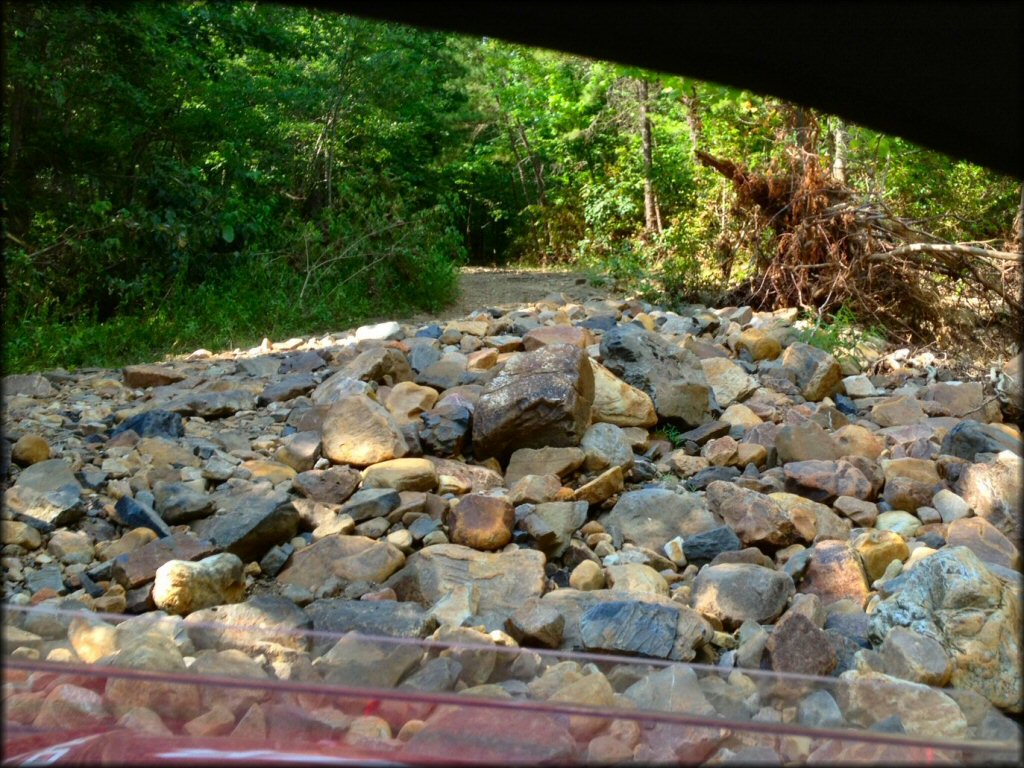 OHV at Fourche Mountain Trail