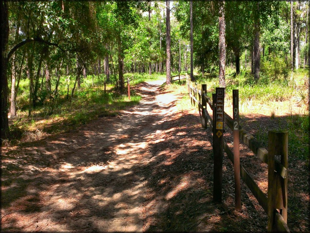 Close up photo of OHV trail with brown carsonite markers.